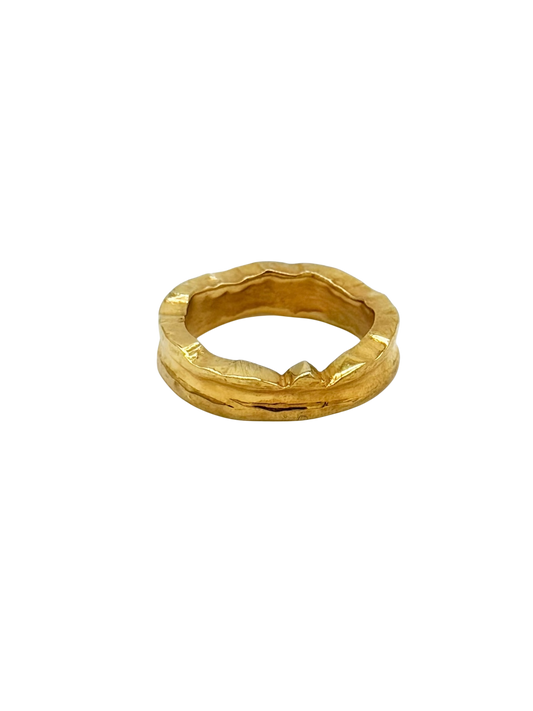 Entero Ring